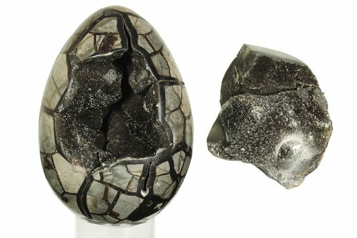 Septarian Dragon Egg Geode - Removable Section #219095